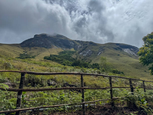 Eravikulam National Park Landscape